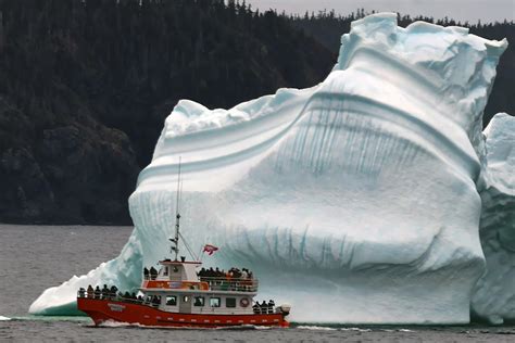 Icebergs in abundance: Already a 'banner year' in Newfoundland - The Weather Network