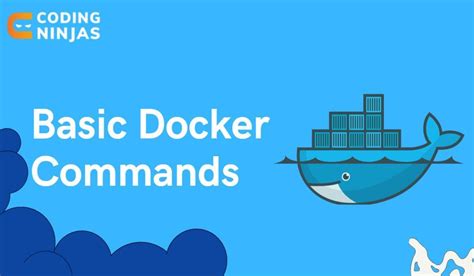 Image result for Docker Basic Commands