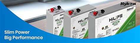 Hykon HiLIFE 12Volt 100Ah Lithium Ferro Phosphate Inverter Battery ...