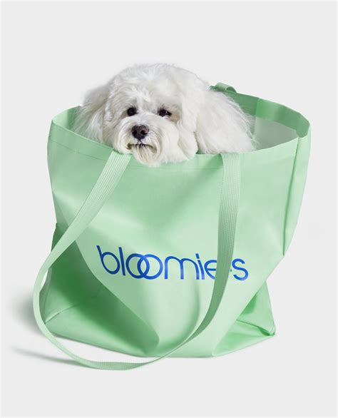 Bloomie's at Old Orchard | Bloomingdale's
