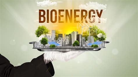 Bioenergy Picture Example 的图像结果