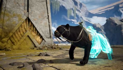 How To Get Mossy Seeds in Stardew Valley