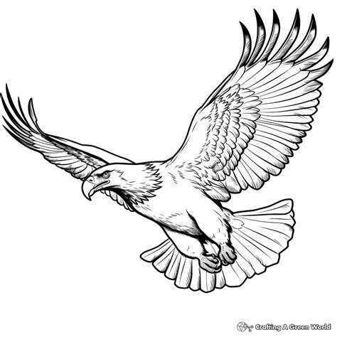 Realistic Bald Eagle Coloring Pages [2025]