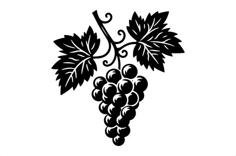 Grape Outline Vector Clipart Graphic by SKShagor Barmon · Creative Fabrica