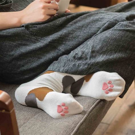Step into Summer with a Pair of Adorable Cat Paw Socks! | Tokyo Otaku ...
