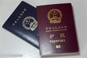 护照 的图像结果