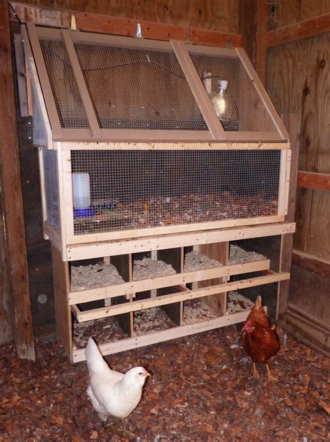 Brooder and nest boxes | Chicken brooder, Chicken coop, Diy chicken ...