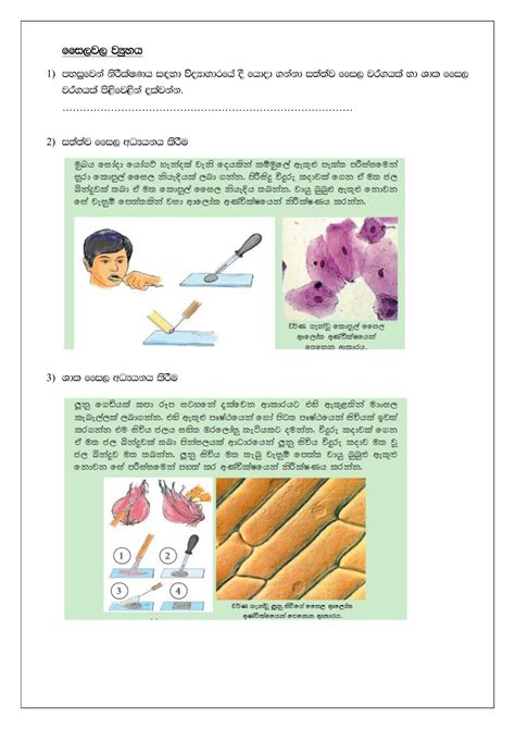 Grade 10 Science Lesson 1 Questions 的图像结果