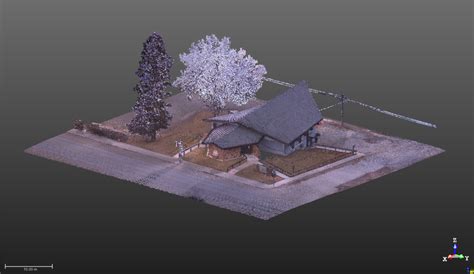 Trimble RealWorks Tutorial 的图像结果