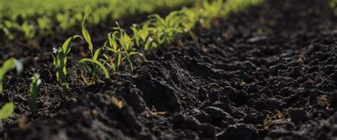 Natural World 的图像结果