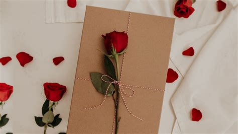 Wallpaper rose, flower, envelope hd, picture, image