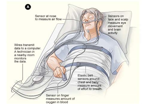 Sleep Scoring Center