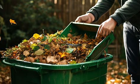 Small. Skip 的图像结果