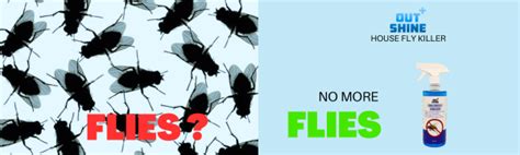 Outshine+ HouseFly Killer (1L) : Amazon.in: Garden & Outdoors