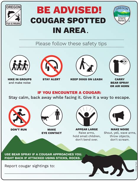 At least two cougars thought to be roaming popular areas of Oregon’s ...