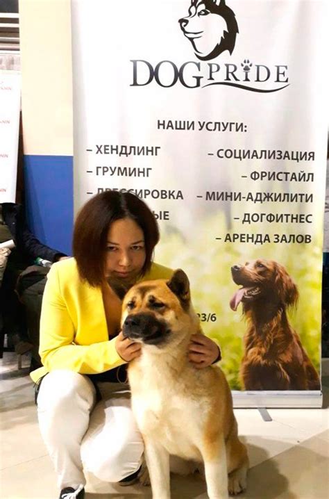 Dogpride, кинологический центр в Томашевском тупике в Самаре - отзывы ...