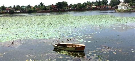 Project – Bhubaneswar Bindusagar Lake | Beyond Built Pvt Ltd