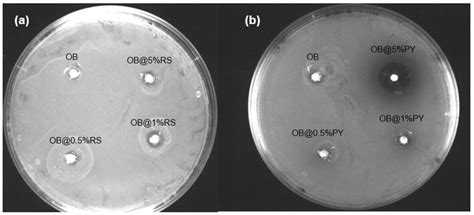 Impacts of Resveratrol and Pyrogallol on Physicochemical, Mechanical ...