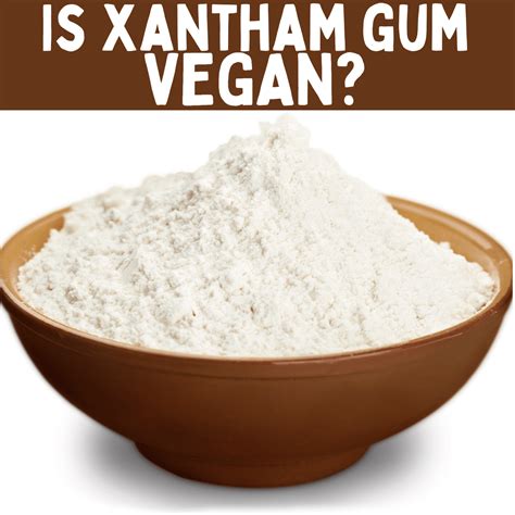 Is Xanthan Gum Vegan? - Vegetarian Mamma