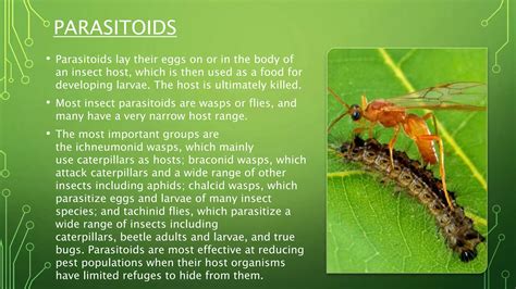 Biological Control Examples 的图像结果