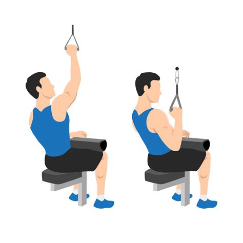 Cable One Hand Lat Pulldown at Gladys Zachery blog