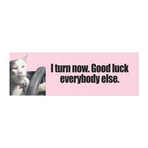 I Turn Now. Good Luck Everybody Else. | Funny Cat Meme Car Magnet | Cat ...