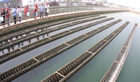 广东江门水厂扩容改造工程,范围涉及3个镇,项目总投资45402万元|供水量|水厂|总投资_新浪新闻