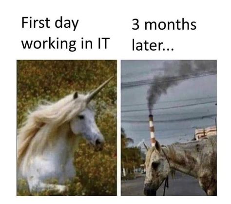 Image result for Full-Stack Development Funny Cartoons