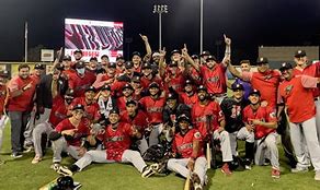Image result for Grizzlies clinch playoff berth