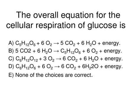 Cellular Respiration Equations