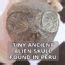 Image result for Alien Skull Found