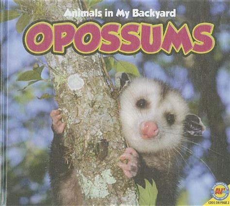 Opossums (Animals in My Backyard) : McGill, Jordan: Amazon.in: Books