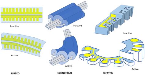 An Overview of Novel Actuators for Soft Robotics