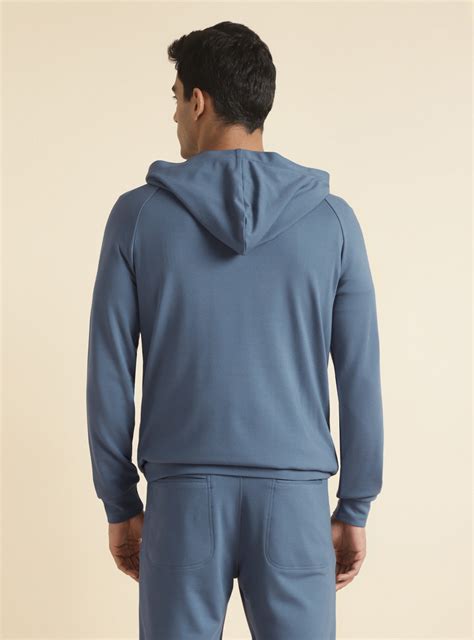 Buy Pastel Blue Hoodie Casual Blue Solid Hoodie for Men Online | Andamen
