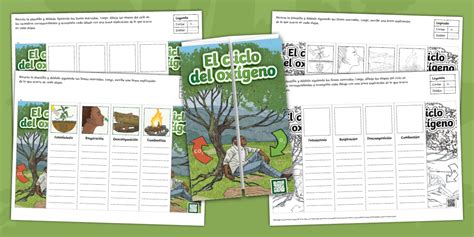Foldable: El ciclo del oxígeno - Twinkl Ciencias