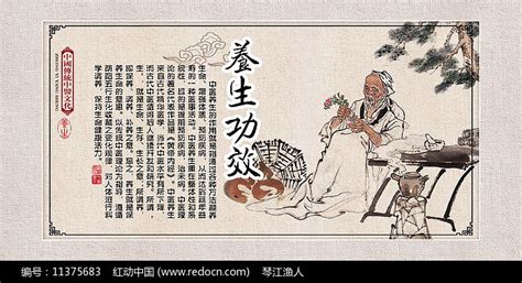 中医养生文化海报设计图片素材_医疗美容图片_海报图片_第17张_红动中国