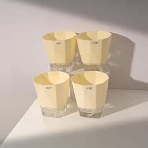 Raiz White Self-Watering Pots for Indoor Plants, Best Flower Pots ...