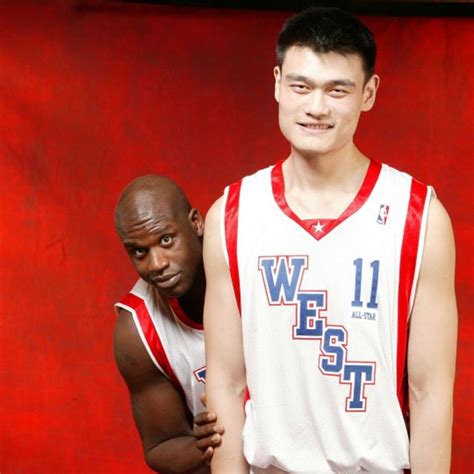 Yao Ming Y Shaq Yao Ming Wikipedia