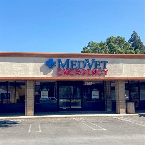 Medvet Silicon Valley