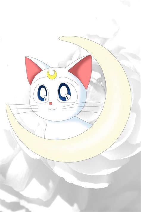 Sailor Moon Artemis Wallpapers - Top Free Sailor Moon Artemis ...