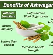 Image result for Benefits of Ashwagandha