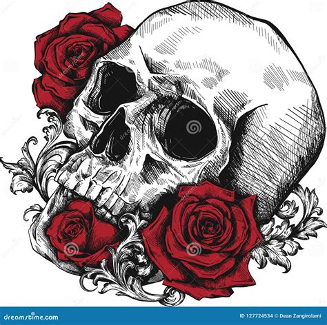 A Human Skull with Roses on White Background Stock Vector ...