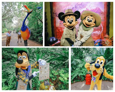 Disney Animal Kingdom Characters