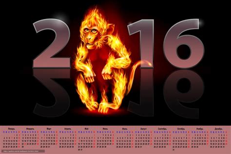 下载壁纸 日历火热的猴子, 日历2016年, 日历与猴子, 2016年 免费为您的桌面分辨率的壁纸 3600x2400 — 图片 №644841