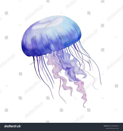 Jellyfish Clip Art: Over 3,827 Royalty-Free Licensable Stock ...