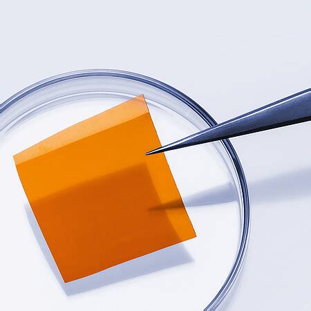 Image result for Polymer Processing