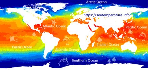 Myrtle Beach ocean water temperature today | SC, United States temp