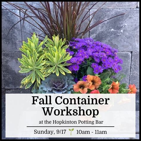 Rezultat imagine pentru Fall Container