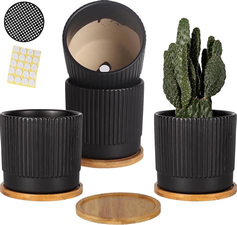 Amazon.com : TAMAYKIM 5.5" Ceramic Plant Pots with Drainage Holes ...