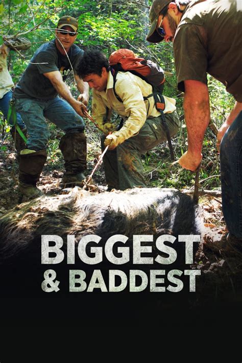 CTV Wild - Bell Media